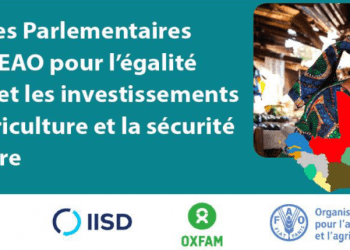 Gender and investment in agriculture and food security to meet the zero hunger challenge