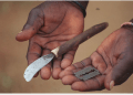Mutilations génitales féminines au Mali : l’AJS exprime sa solidarité à l’endroit de l’Association des juristes maliennes